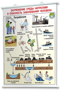 Плакаты по общей экологии для оформления кабинета. - fgospostavki.ru - Апрелевка