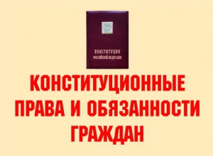 Комплект плакатов "Конституционные права и обязанности граждан" - fgospostavki.ru - Апрелевка