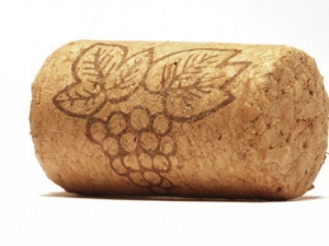 Роторасширитель Пробка - fgospostavki.ru - Апрелевка