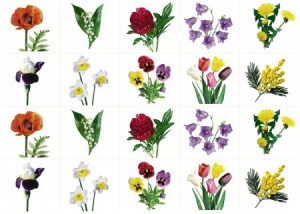 Комплект карточек "Запоминай, играй, считай" - Цветы - fgospostavki.ru - Апрелевка