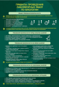 Стенд "Правила выполнения лабораторных работ по биологии" Вариант 1 - fgospostavki.ru - Апрелевка