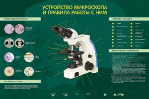 Электрифицированный стенд "Устройство микроскопа и правила работы c ним" - fgospostavki.ru - Апрелевка