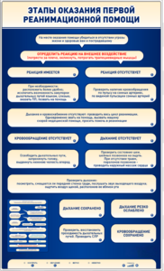 Электрифицированный стенд-тренажер "Этапы оказания первой реанимационной помощи" - fgospostavki.ru - Апрелевка