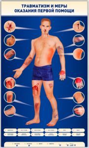 Электрифицированный стенд-тренажер "Травматизм и меры оказания первой помощи" - fgospostavki.ru - Апрелевка