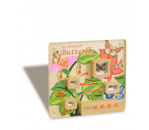 Панель «Жизненный цикл бабочки» - fgospostavki.ru - Апрелевка