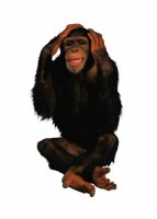 Комплект карточек "Запоминай, играй, считай" - Дикие животные - fgospostavki.ru - Апрелевка