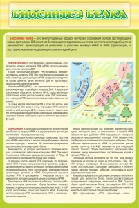 Стенд "Биосинтез белка" - fgospostavki.ru - Апрелевка