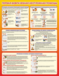 Стенд "Первая доврачебная неотложная помощь" - fgospostavki.ru - Апрелевка