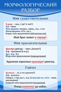 Стенд "Морфологический разбор" - fgospostavki.ru - Апрелевка