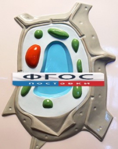 Модель барельефная "Растительная клетка" - fgospostavki.ru - Апрелевка