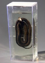 Влажный препарат "Уж" - fgospostavki.ru - Апрелевка