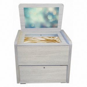 Сундучок психолога-дефектолога "Антошка" - fgospostavki.ru - Апрелевка