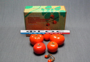 Набор муляжей "Дикая форма и культурные сорта томатов" - fgospostavki.ru - Апрелевка