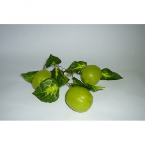 Ветка муляжей "Лайм" - fgospostavki.ru - Апрелевка