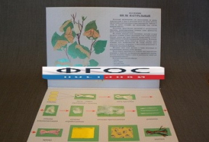 Коллекция "Шелк для начальной школы" - fgospostavki.ru - Апрелевка