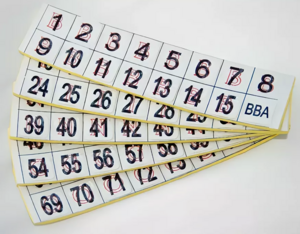 Фишки для игры «Бинго» со шрифтом Брайля - fgospostavki.ru - Апрелевка