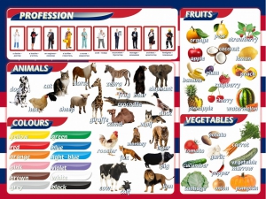 Стенд "Цвета, животные, профессии, фрукты, овощи" - fgospostavki.ru - Апрелевка