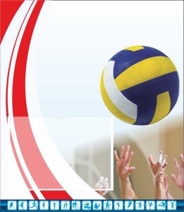 Стенд "Спортивный (волейбол)" - fgospostavki.ru - Апрелевка