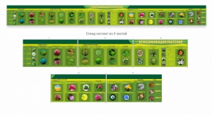 Стенд "Классификация растений" - fgospostavki.ru - Апрелевка