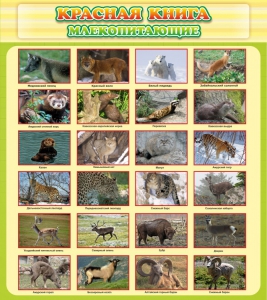 Стенд "Красная книга - млекопитающие" - fgospostavki.ru - Апрелевка