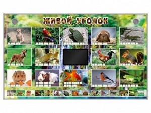 Комплект оборудования "Живой уголок" (животные) - fgospostavki.ru - Апрелевка