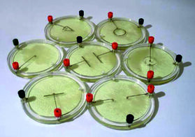 Демонстрационный комплект «Силовые линии электрического поля разных систем зарядов» - fgospostavki.ru - Апрелевка