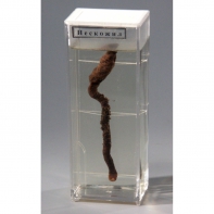 Влажный препарат "Пескожил" - fgospostavki.ru - Апрелевка