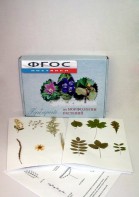 Гербарий "Морфология растений" (5 тем х 3 листа) - fgospostavki.ru - Апрелевка