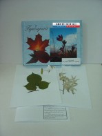 Гербарий "Медоносные растения" (24 вида) - fgospostavki.ru - Апрелевка