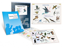 Комплект кодотранспарантов "Зоология. Птицы" - fgospostavki.ru - Апрелевка