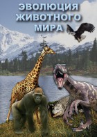 DVD "Эволюция животного мира" - fgospostavki.ru - Апрелевка