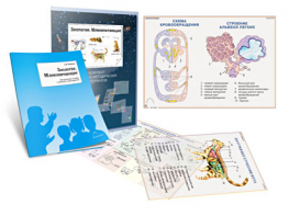 Комплект кодотранспарантов "Зоология. Млекопитающие" - fgospostavki.ru - Апрелевка