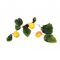 Ветка муляжей "Абрикосы" - fgospostavki.ru - Апрелевка