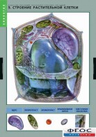 Комплект таблиц. Биология. Вещества растений. Клеточное строение. - fgospostavki.ru - Апрелевка