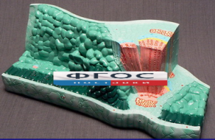 Модель "Структура листа" - fgospostavki.ru - Апрелевка