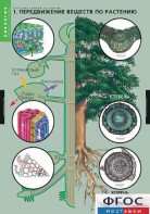 Комплект таблиц. Биология. Растение – живой организм. - fgospostavki.ru - Апрелевка