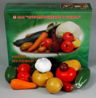 Набор муляжей овощей (большой из 13 штук) - fgospostavki.ru - Апрелевка