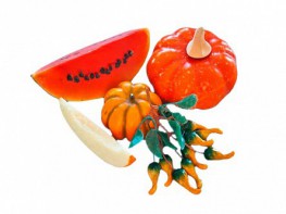 Набор муляжей "Бахчевые культуры" - fgospostavki.ru - Апрелевка