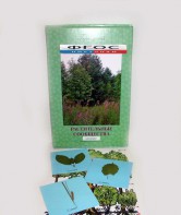 Гербарий "Растительные сообщества" (9 видов х 5 планшетов) - fgospostavki.ru - Апрелевка