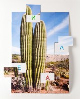 Магнитная орфография (безударные гласные, 1 класс) "Кактус" - fgospostavki.ru - Апрелевка