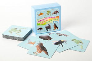 Набор магнитных карточек "Устный счет" (фон голубой) - fgospostavki.ru - Апрелевка