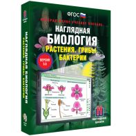 Наглядная биология. 6 класс. Растения. Грибы. Бактерии - fgospostavki.ru - Апрелевка