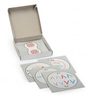 Модель-аппликация "Деление клетки" (набор из 5 карт) - fgospostavki.ru - Апрелевка