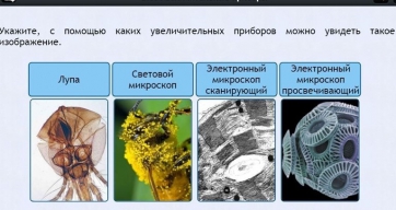 Интерактивные курсы. Биология 5 класс. Расширенный - fgospostavki.ru - Апрелевка