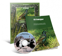 Электронное наглядное пособие «Птицы» - fgospostavki.ru - Апрелевка