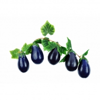 Ветка муляжей "Баклажаны" - fgospostavki.ru - Апрелевка