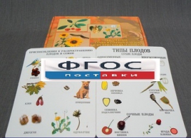 Коллекция "Семена и плоды" - fgospostavki.ru - Апрелевка