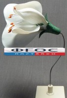 Модель "Цветок гороха" - fgospostavki.ru - Апрелевка