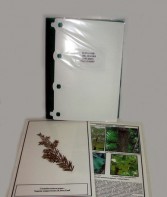 Гербарий "Эволюция высших растений" (ламинированный) - fgospostavki.ru - Апрелевка