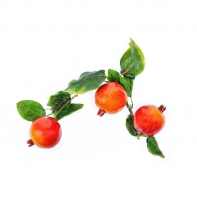 Ветка муляжей "Гранат" - fgospostavki.ru - Апрелевка